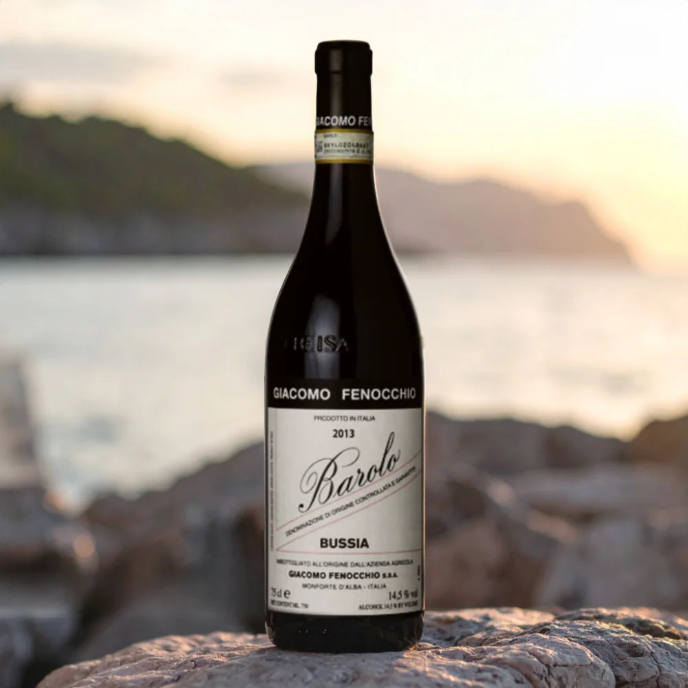 2013 Giacomo Fenocchio Barolo Bussia 750ml