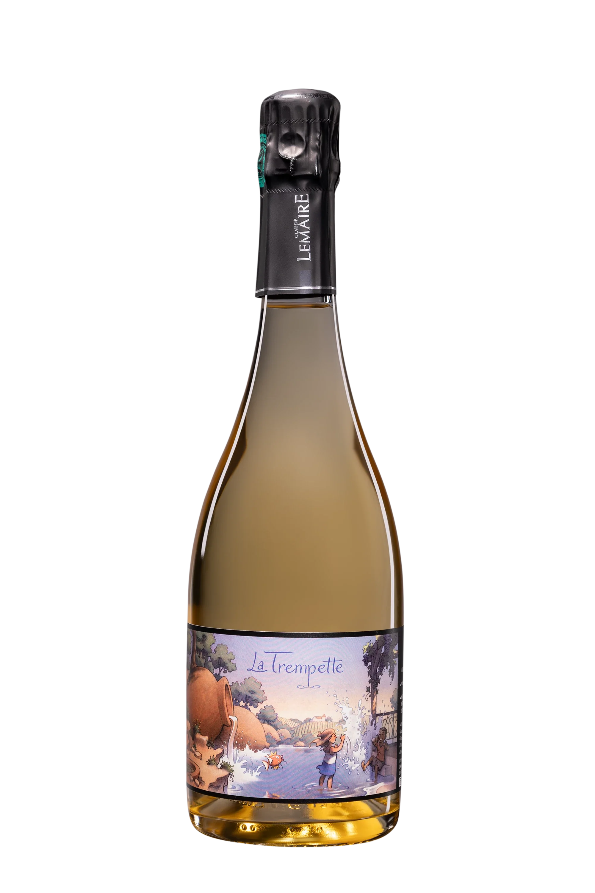 2019 Lemaire 'La Trempette' Brut Nature 750ml