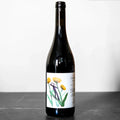 2020 Cantina Giardino Vino Rosso Chianzano 750ml