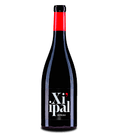 2021 Bodegas Caudalia Xi'ipal Syrah 750ml