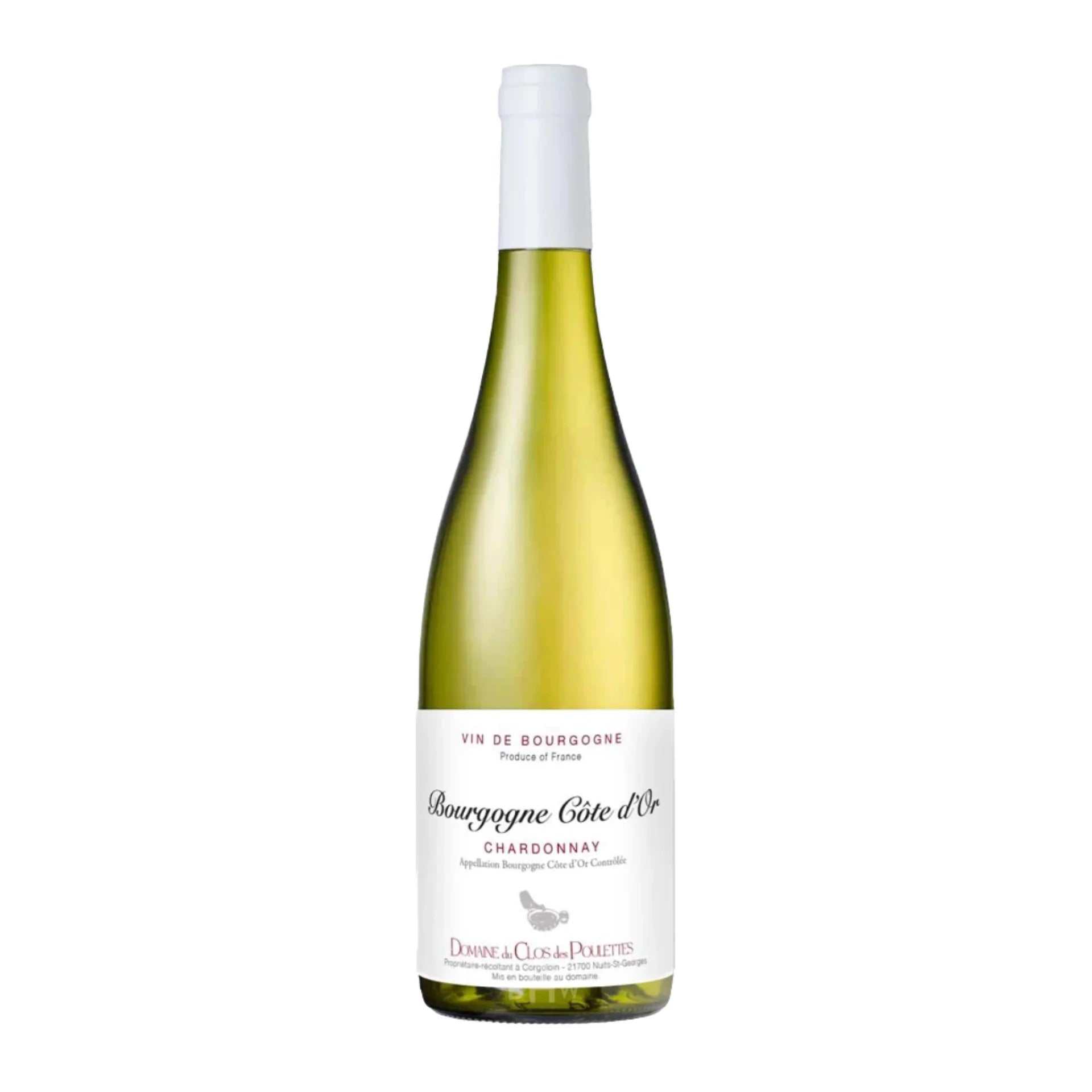 2022 Domaine du Clos des Poulettes Bourgogne Cote d'Or Chardonnay 750ml