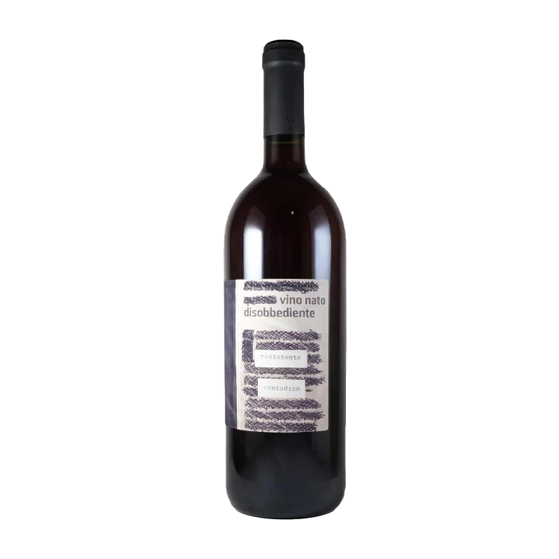 2023 Monte dall'Ora Vino Nato Disobbediente Resistente Contadino 1Lt