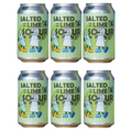Black Flag Brewing Salted Lime Sour Beer 12-Oz Can 6-Pack