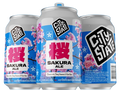 City State Brewing Sakura Ale Can 12-Pack