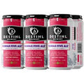 Destihl Brewery Hawaii Five Ale Blonde Beer 12-Oz Can 6-Pack