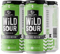 Destihl Wild Sour Series Here GOSE Nothin Leipzig Style Gose Ale Beer 12-Oz Can 4-Pack
