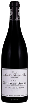 Domaine Armelle et Bernard Rion Nuits-Saint-Georges 1er Cru les Damodes 750ml