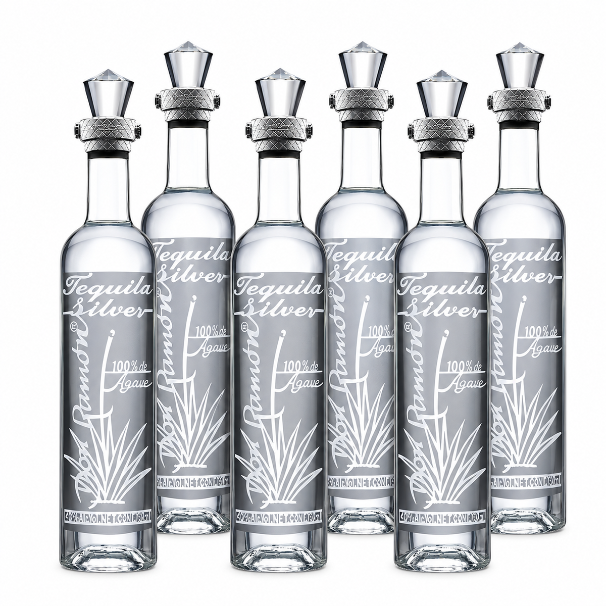 Don Ramon Silver Blanco Tequila 750ml Bundle 6-Pack