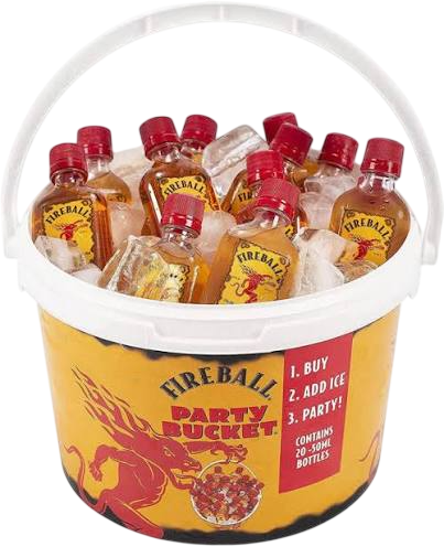 Fireball Party Bucket 20x50ml