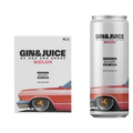 Gin and Juice Melon 4 pack 355ml