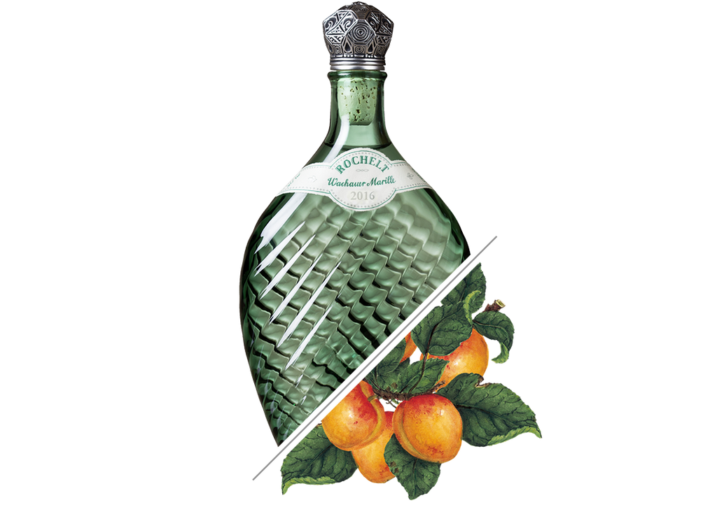Rochelt Apricot Fruit Brandy 375ml