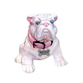 Mascota Rosa Blanco 750 ML