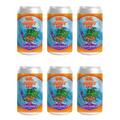 Silver Branch Brewing Dr. Juicy India Pale Ale Beer 12-Oz Can 6-Pack