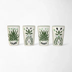 Tequila Agave Decanter Set