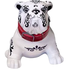 Tequila Mascota Blanco 750 ML