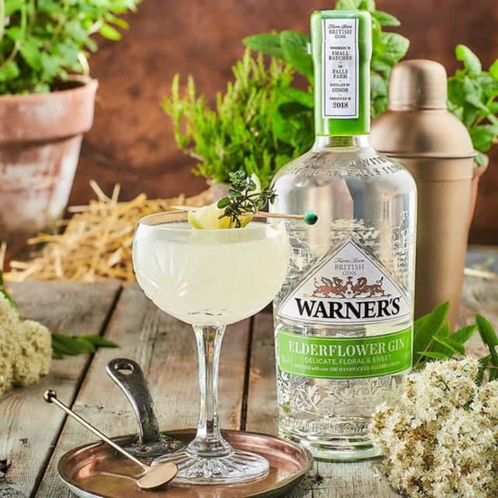 Warner's Elderflower Gin 750ml