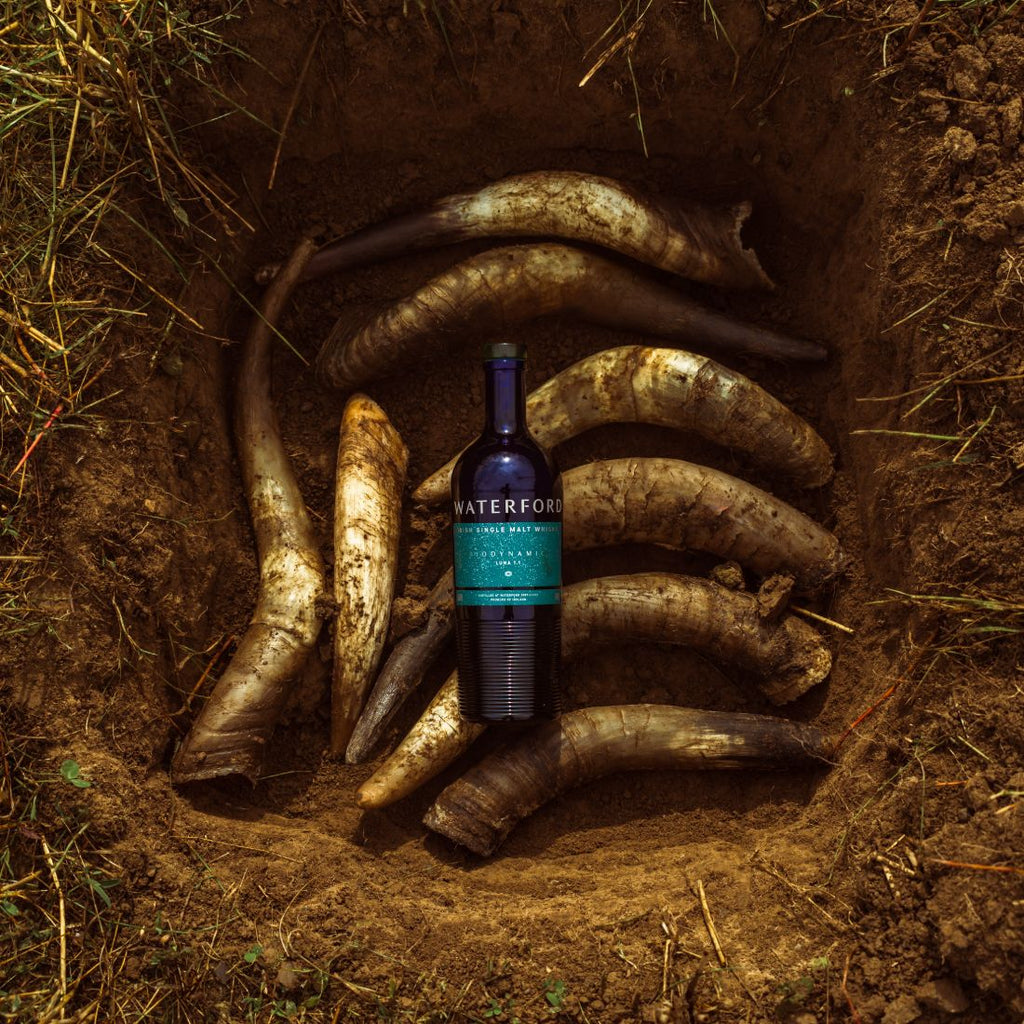 Waterford Biodynamic Luna 1.1 Single Malt Irish Whisky
