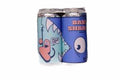 Aslin Baby Shark India Pale Ale Beer 4-Pack